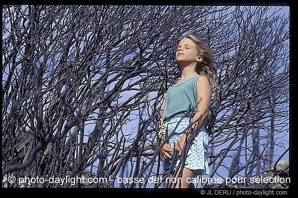 petite fille dans les arbres - little girl in the trees
